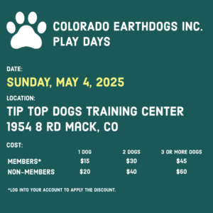 May 4, 2024 play days at Tip Top Dogs Training Center